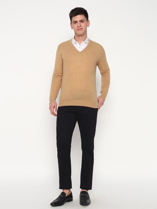 Men's Cashmere V-Neck Sweater